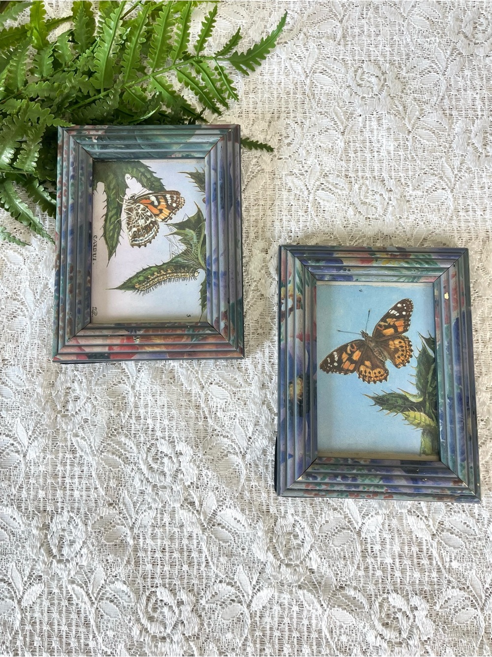 Pair of Vintage Framed Butterfly Decor 3.5” x 5”